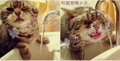 瘦脸
