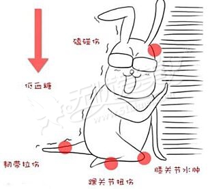 体重超重的人锻炼时容易受伤