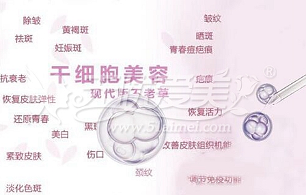 干细胞除皱