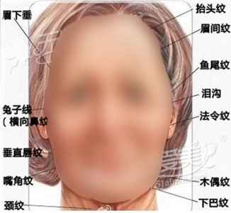 身体塑形紧致肌肤