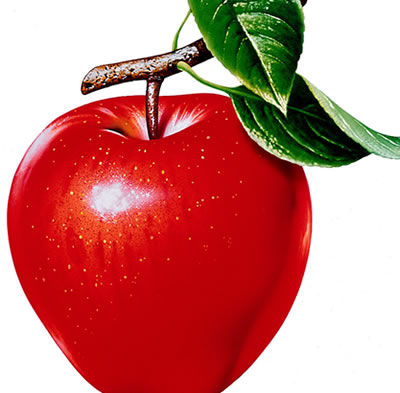 苹果有毒部位果核