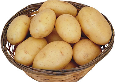 土豆有毒部位：茎和叶土豆