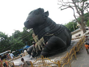 印度班加罗牛神庙
