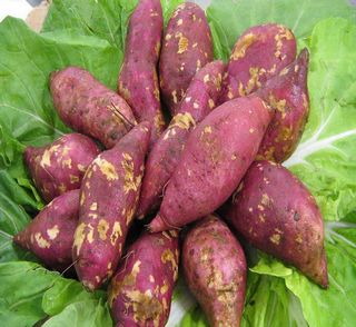 七种高纤食物拯救“游泳圈”