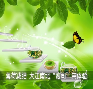 薄荷减肥 薄荷减肥