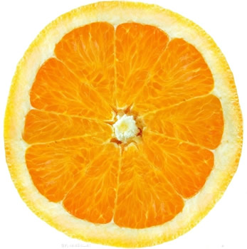 橙籽粉--治疗风湿