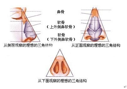 鼻尖整形中你必须知道的一些真相