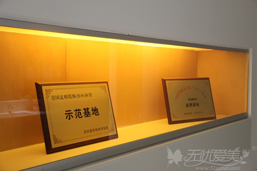 美国麦格假体示范基地
