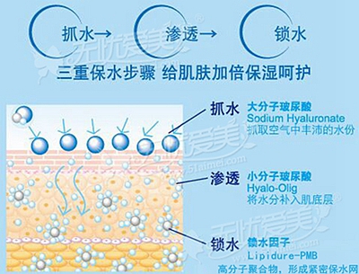 听说看了这篇文章后 才算真正了解玻尿酸