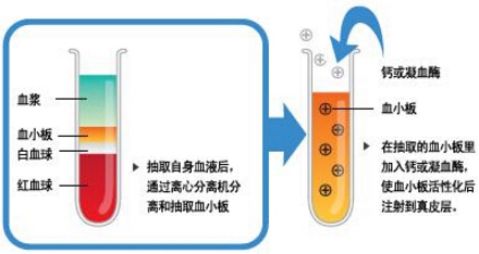  血清嫩肤