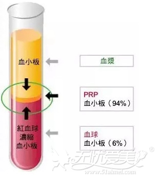 prp在血液中的所占的百分比