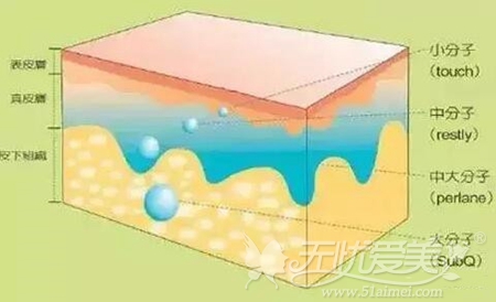 玻尿酸大、中、小分子注射的部位不同
