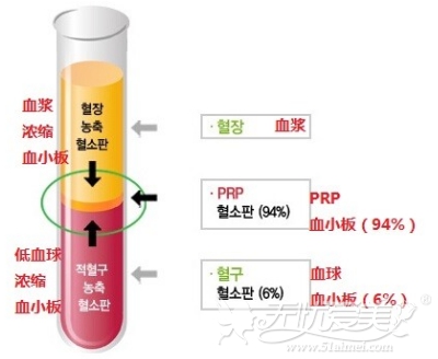 PRP中所含的成分