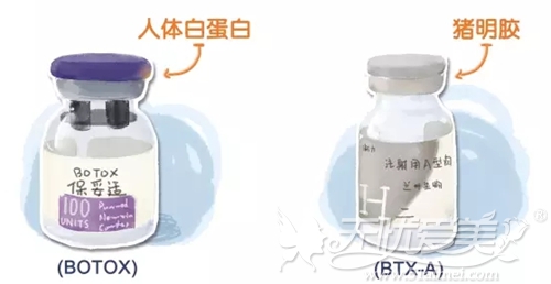 美国()和国产的(BTXA）成分不同