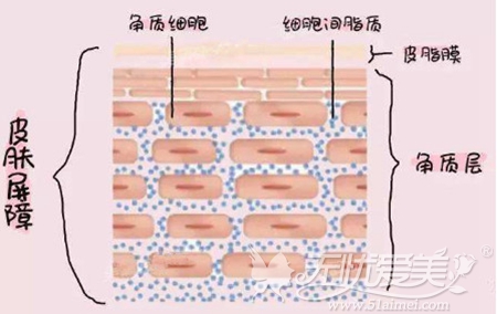 皮肤清洁不到位会产生皮肤问题