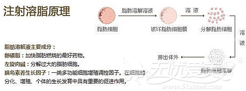 韩国脂肪填充修复针剂Lipolis原理