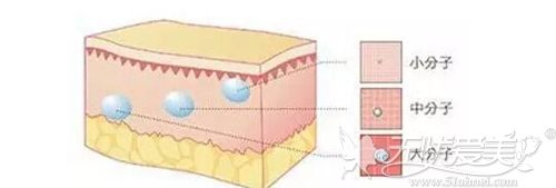 玻尿酸和水光针的交联程度不同
