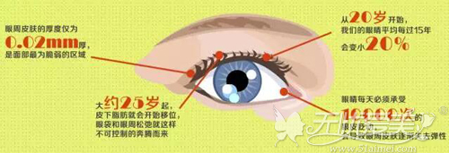 眼睛每过15年大概会变小20%左右