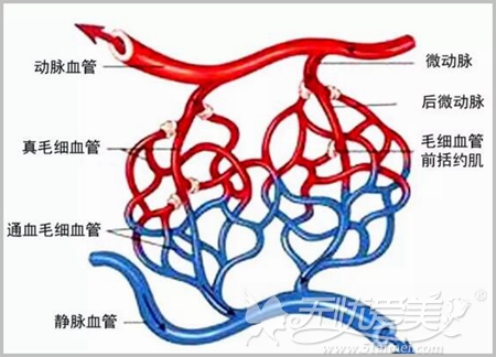 整形术后为什么出现水肿