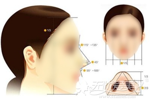 隆鼻美学标准