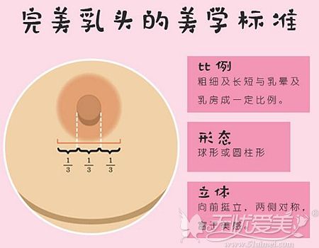 乳头大正常吗图片