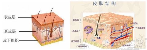 皮肤衰老的原因及特征