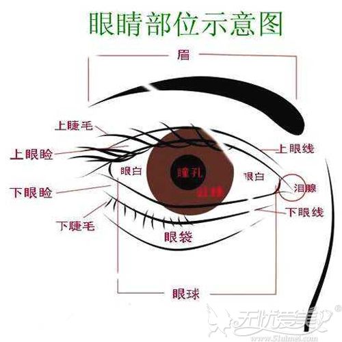 你有没有想过那些说做完眼综合都丑了是因为什么？