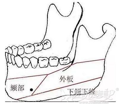 下颌角和外板之间的关系
