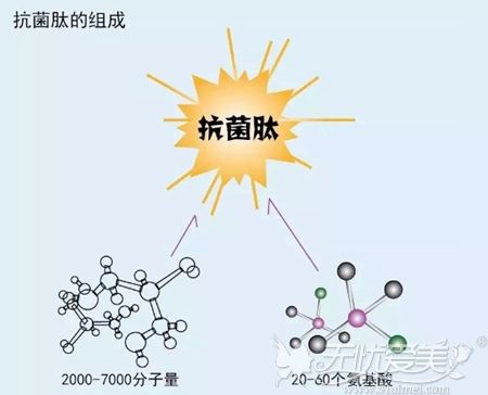 抗菌多肽敷料可抗菌消炎