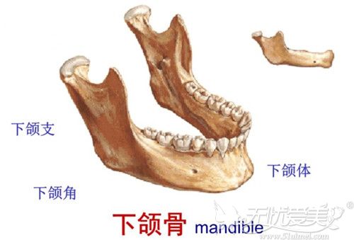 骨骼型发腮可通过下颌角手术解决