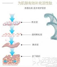 红毯明星不老秘籍 元芳你怎么看