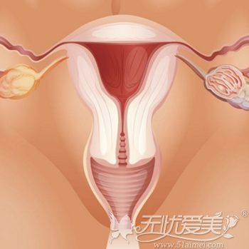 花1万多做的缩阴术有疤痕疙瘩告诫大家千万不要做缩阴手术