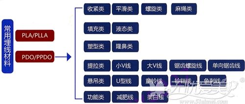 PLLA和PPDO的线材分类