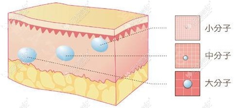 玻尿酸大中小分子注射的位置不同