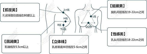 谁有曼托假体225cc和250cc效果图？我有A罩杯想升到B+