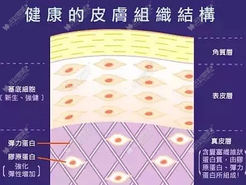 自体真皮瓣垫鼻尖的缺点