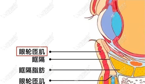 韩啸说千万别做眶隔脂肪去眼袋不是因为后遗症,而是它有用