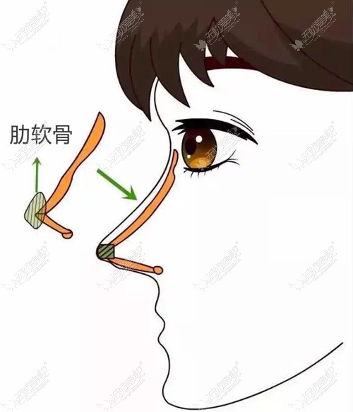 上海肋骨鼻做的自然的医生都有谁