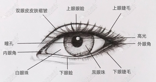 常州哪个医生割双眼皮比较好 常州哪个医生割双眼皮比较好