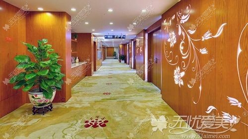 杭州连天美医疗美容医院 杭州连天美医疗美容医院