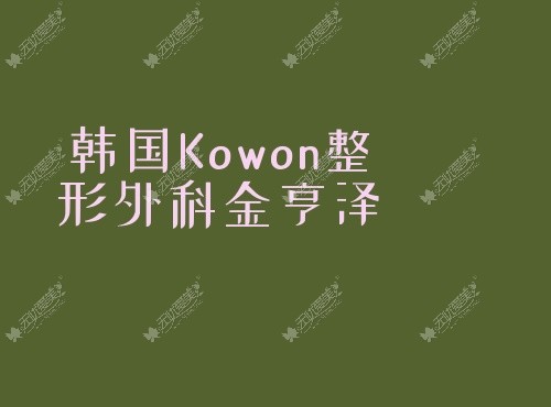 韩国Kowon整形外科金亨泽51aimei.com