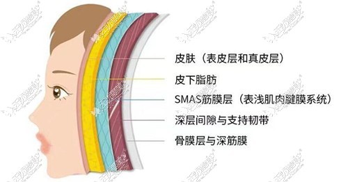 www.51aimei.com提供的瞿健双平面复合拉皮手术技术图