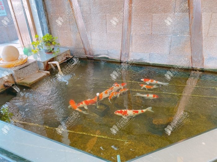 佛山中大口腔医院