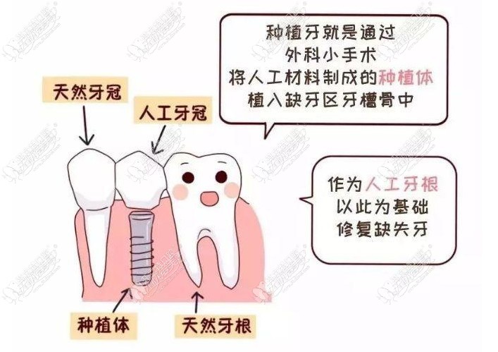 杭州乐元口腔门诊部 杭州乐元口腔门诊部