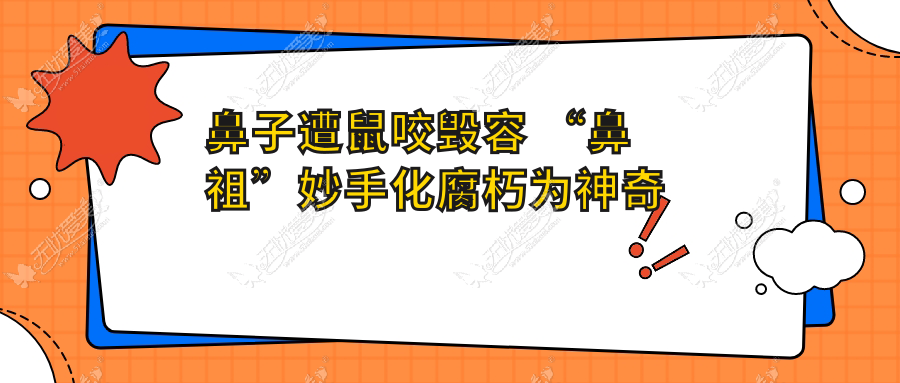 鼻子遭鼠咬毁容 “鼻祖”妙手化腐朽为神奇