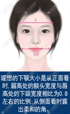理想的下颌角比例