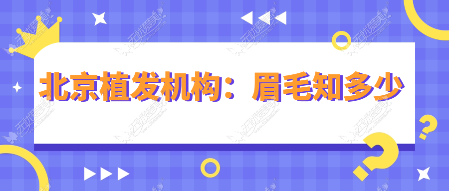 北京植发机构：眉毛知多少
