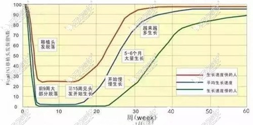 私密处毛发脱落期