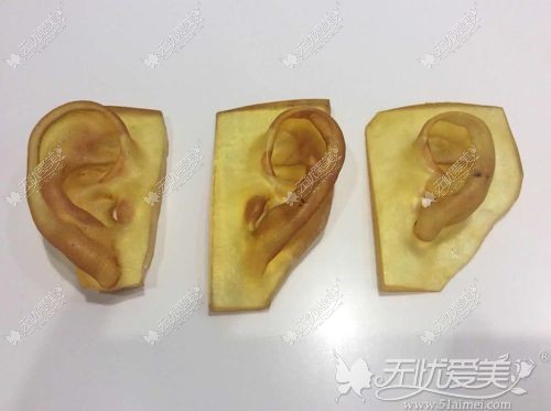 塑料耳模型雕刻耳朵形状