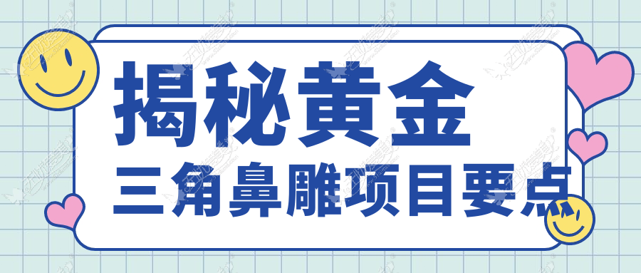 揭秘黄金三角鼻雕项目要点